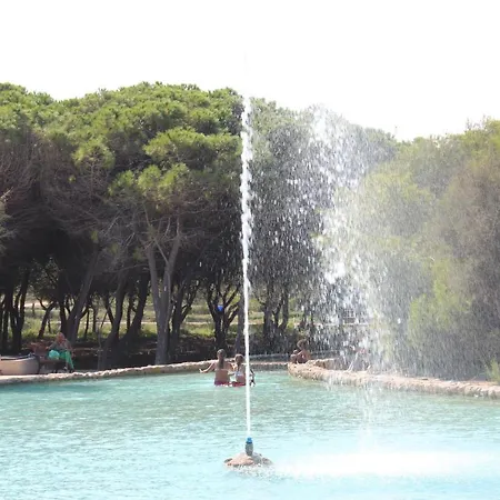 Holanda 47 * La Mata (Torrevieja)